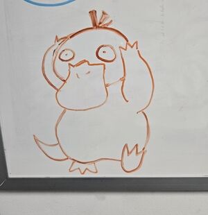 Meet your Posher, Holly